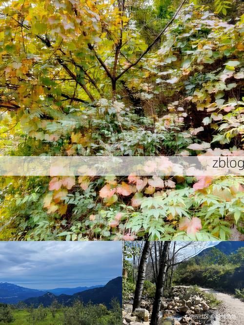 阜平：太行山褶皱中的防疫样本与挑战