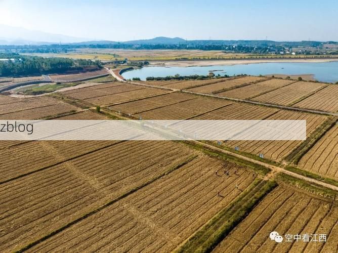 上高：赣中粮仓的疫情防线与交通枢纽压力_65625