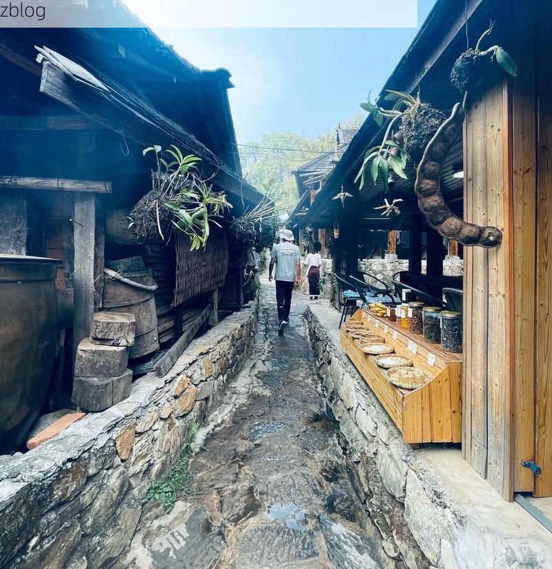 澜沧拉祜山乡：地理屏障与零感染记录背后的坚守