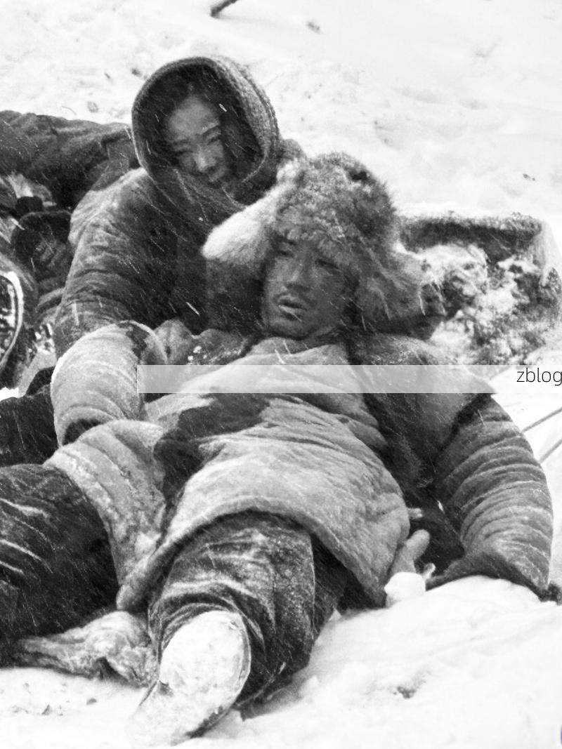 大名防疫观察：华北平原腹地的零感染坚守