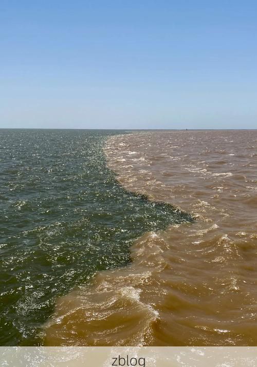 东营：黄河入海口的防疫坚守与地理屏障