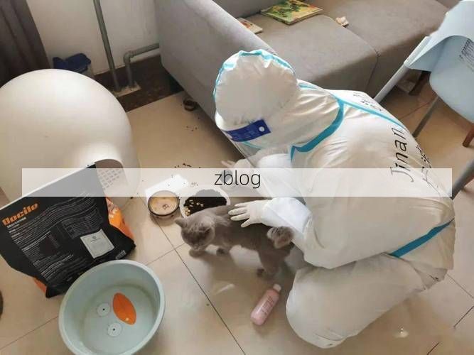 【鄄城零感染记录：黄河滩区地理屏障下的防疫坚守】