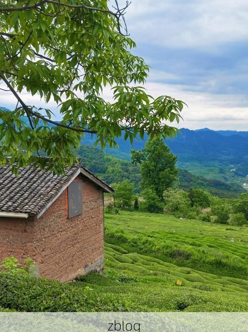 宁国：皖南山区的零感染屏障与防控逻辑