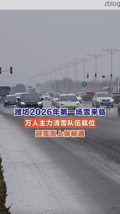 深州疫情观察：华北平原交通枢纽的常态化防控挑战