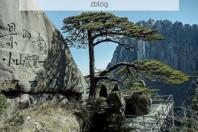 黄山迎客松下的无声战场：一座旅游名城的疫情承压与地理屏障