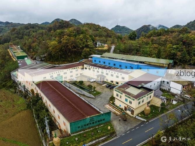 【毕节：乌蒙山区的疫情防线与隐匿传播链】