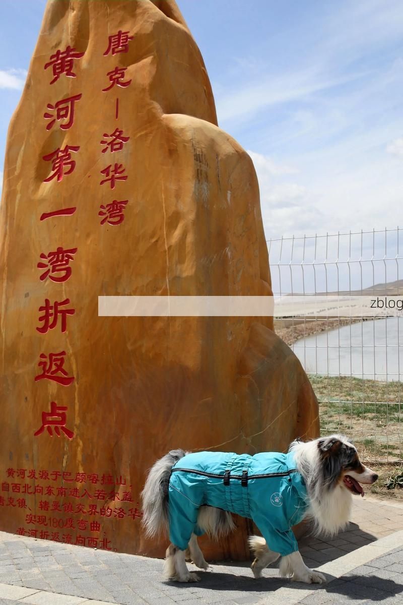 托克托县：黄河岸边的零感染防线如何铸就？