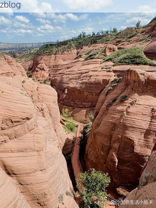 【临洮县：黄土高原沟壑间的零感染坚守】