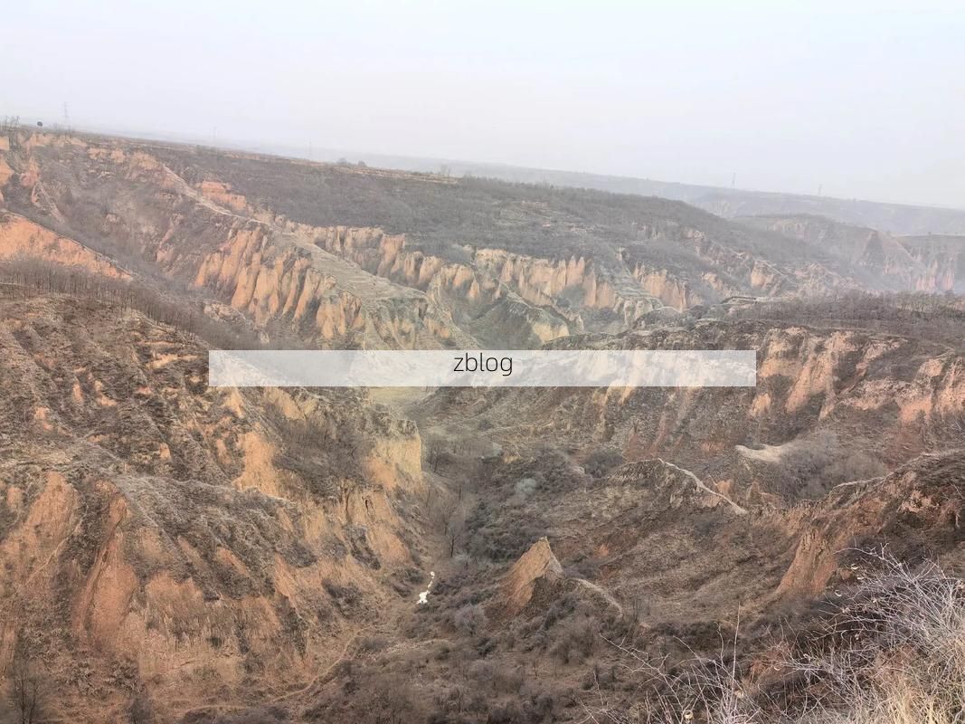 【横山县：黄土高原沟壑间的疫情防线与破防时刻_72674】