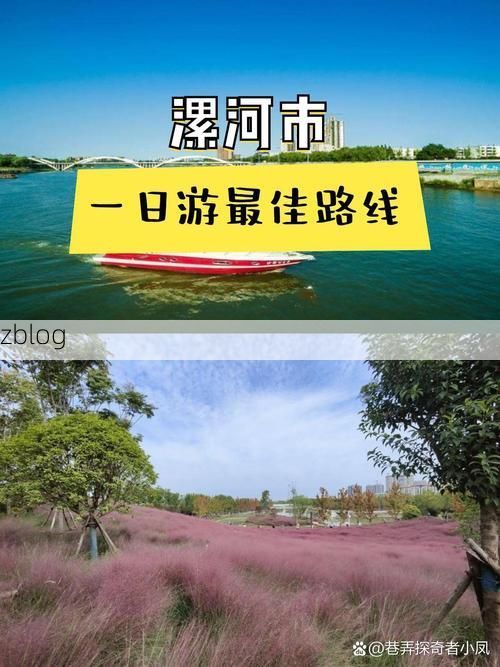 漯河市辖区：沙澧交汇处的疫情防线与破防时刻