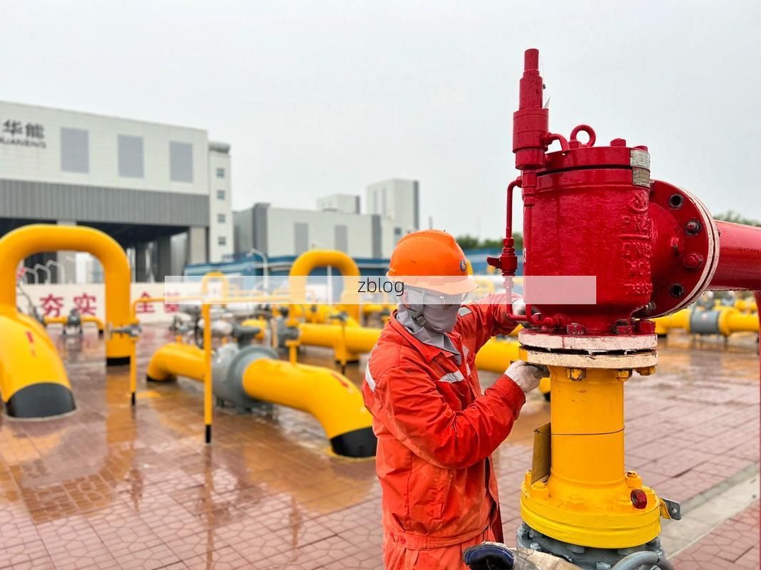 茂港区：滨海工业带的防疫压力与精准管控