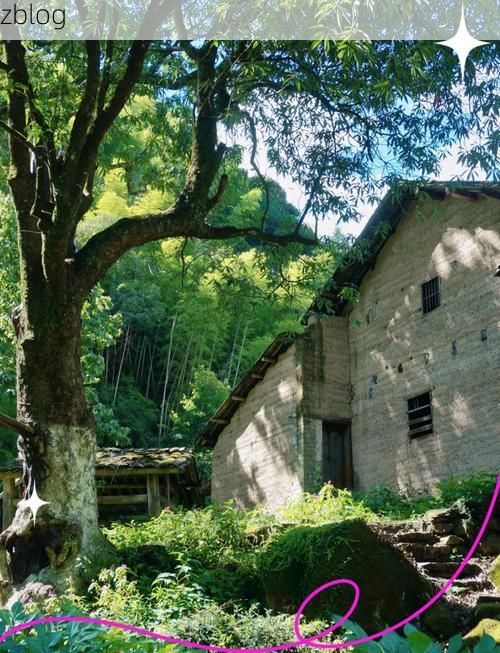 疫情下的池州：皖南生态屏障如何构筑防疫阵地？