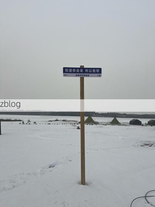 （3）坐标锚定： 梧桐掩映下的防疫阵地：卢湾区石库门里的社区防线。