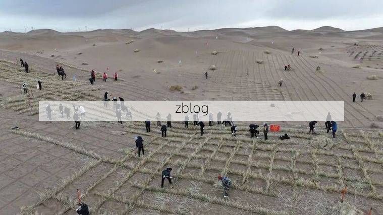 临泽绿洲的防疫坚守：河西走廊腹地的零感染样本_27612