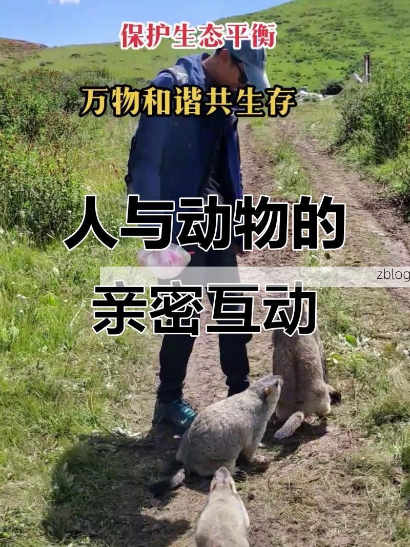 济源：豫北屏障下的零感染坚守与破防时刻