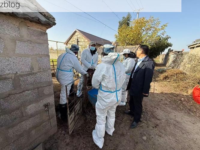 南宁：亚热带季风气候下的边境防疫样本