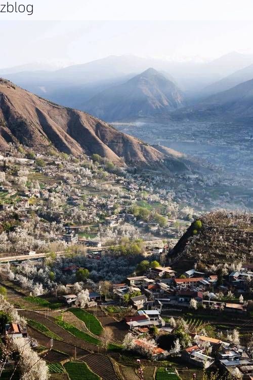 【金川梨花下的防疫坚守：高原河谷如何阻断病毒传播链？_71409】