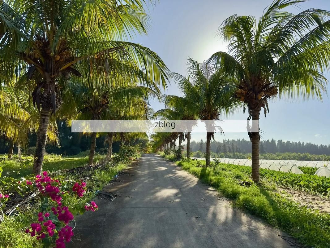 万宁：热带滨海旅游地的疫情压力测试