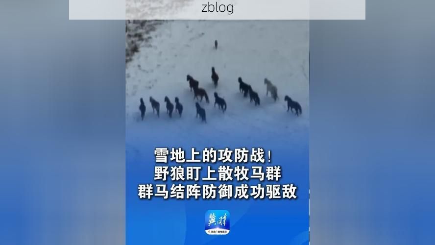 土默特左旗：草原门户的疫情防线与破防时刻_38745