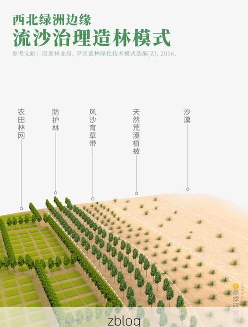 阿拉尔：塔河绿洲的疫情防线与防控逻辑