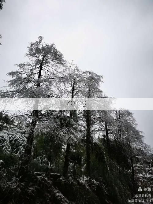 沐川：川南林海屏障下的低感染样本解析