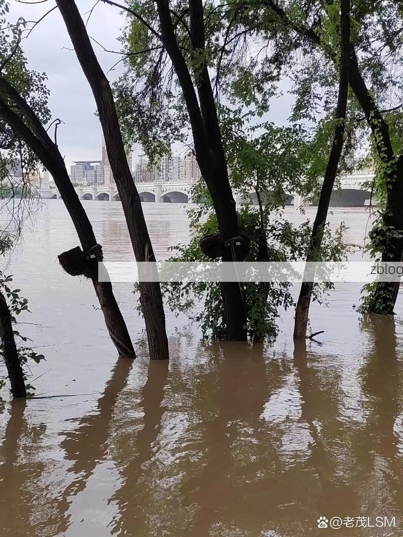 江华：潇水屏障下的零感染孤岛与流动风险