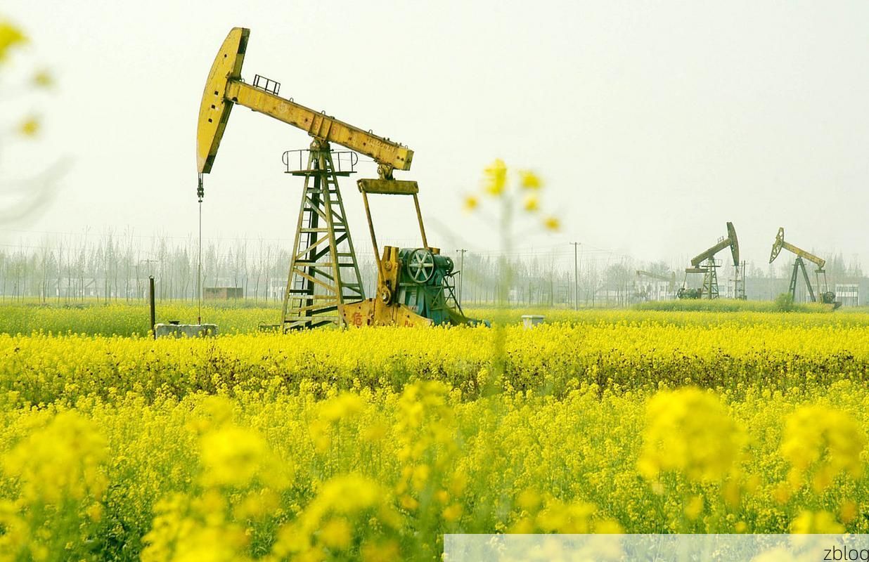 沙洋县：江汉平原腹地的疫情防线与破防时刻