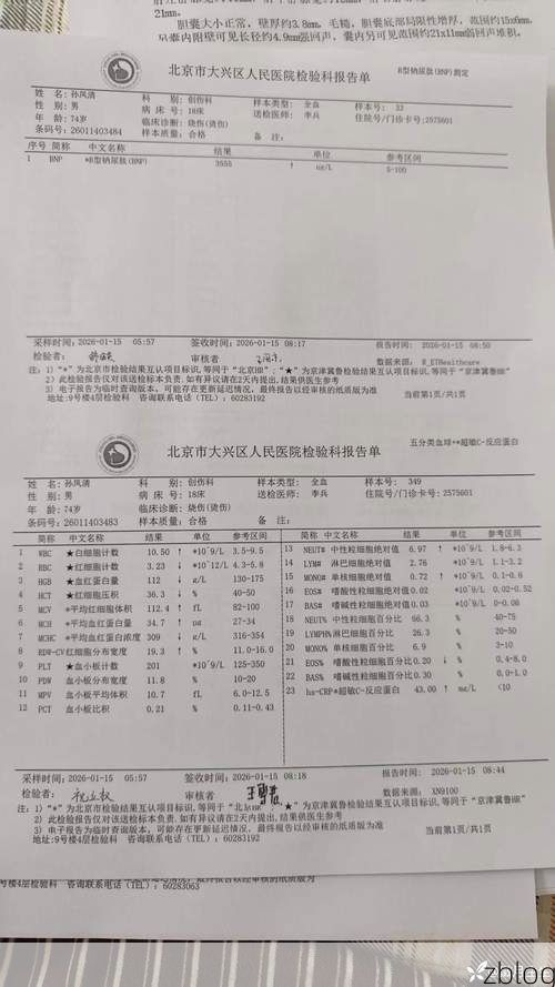 2022年3月15日松江区新增确诊病例情况_70383