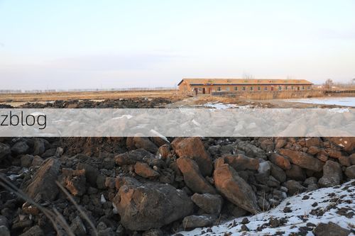 青冈县：寒地黑土上的疫情防线与零星破防_38674
