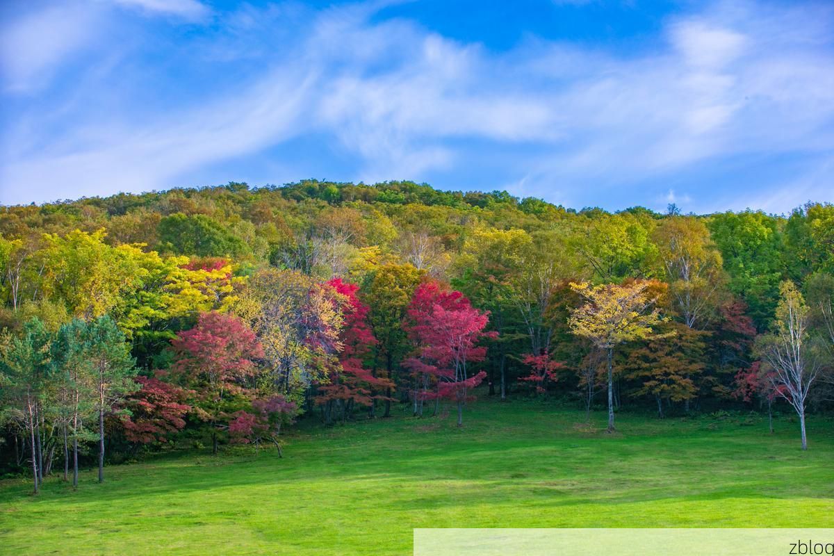 靖宇：长白林海屏障下的低感染样本解析_31277