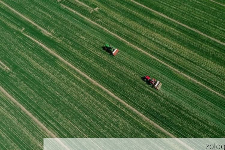 清河县疫情观察：冀南平原交通枢纽的常态化防控挑战