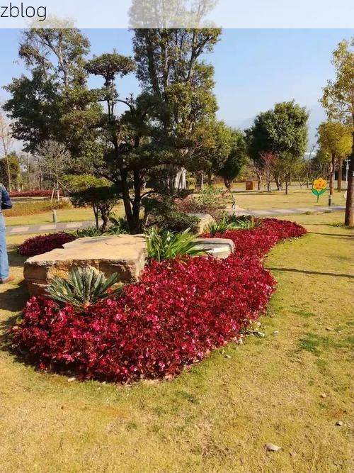 开远：滇南交通枢纽的疫情防线与破防时刻_39350