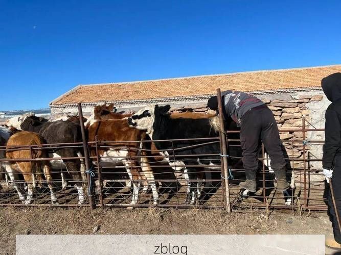 大冶市：铜都工业重镇如何构筑防疫屏障