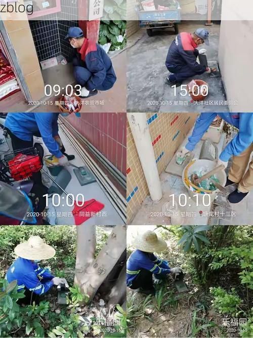 灞桥区：交通枢纽与城中村结构下的疫情传播链解析