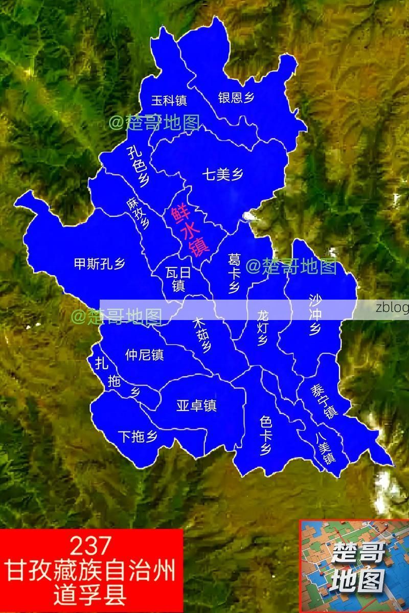 2022年8月15日道孚县新增确诊病例情况_59739