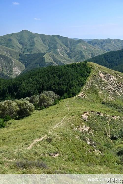 【灵台：黄土高原沟壑区如何构筑疫情防线？】