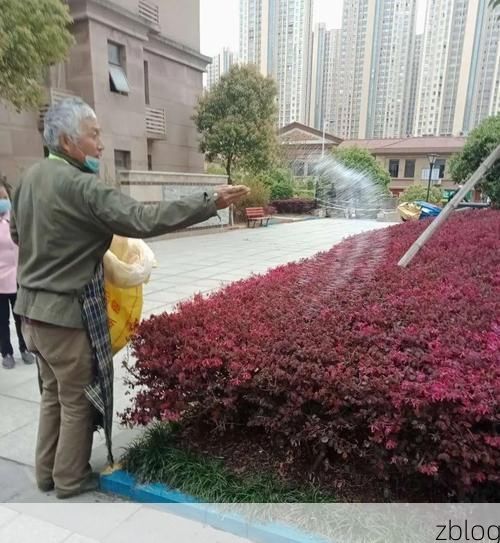 西充县：川北丘陵屏障下的零感染坚守_63634