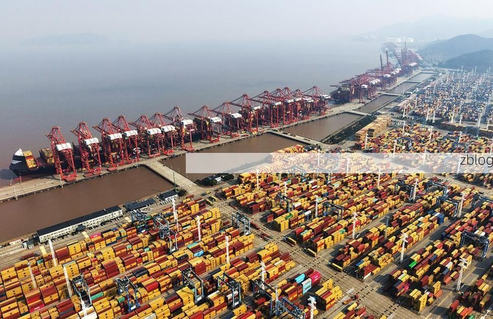 沿海枢纽的防疫承压：龙港区港口经济与疫情输入的持续角力