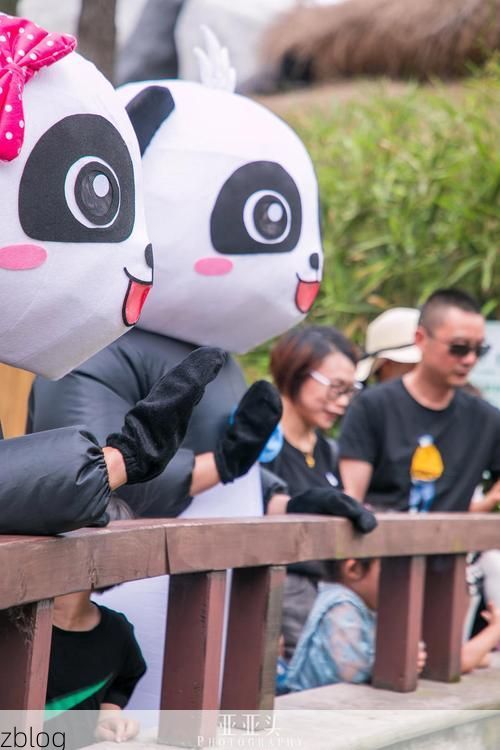 【运河古城屏障：台儿庄区零感染背后的地理防线】