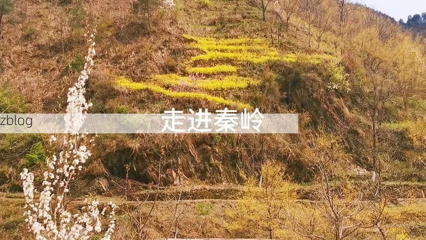 丹凤县：秦岭屏障下的疫情破防与地理溯源