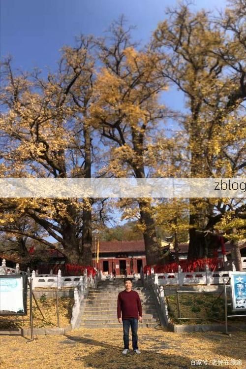 鲁山县：伏牛山屏障下的县域防疫样本_23770
