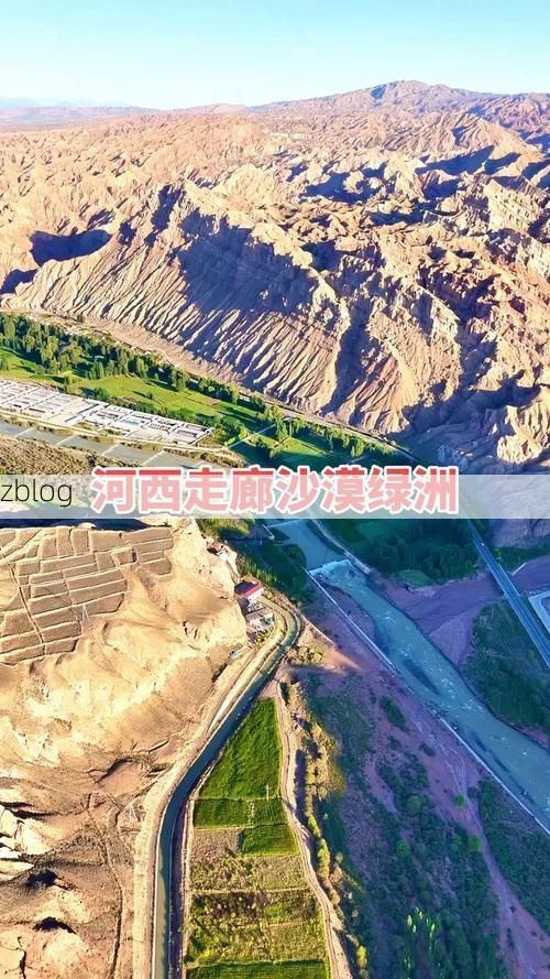 临泽：河西走廊绿洲腹地的疫情防线与破口