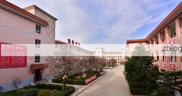 武功县：关中平原腹地的县域防疫样本