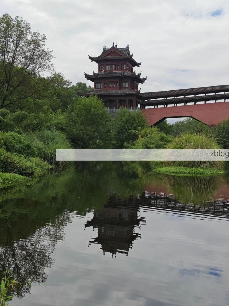 松阳县：浙西南山城屏障下的零感染坚守