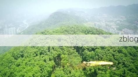 山城屏障与社区传播：高海拔陡坡地形下的防疫拉锯战