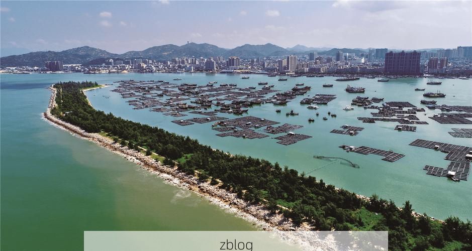 陆丰疫情透视：滨海渔港的防疫挑战与地理屏障