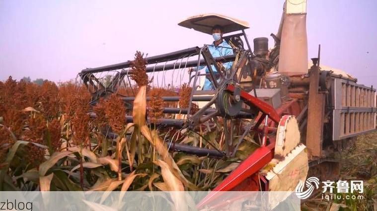 莘县疫情观察：鲁西平原腹地的防控压力与地理屏障