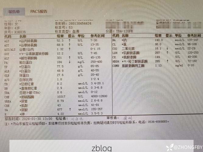 2022年11月28日耒阳市新增确诊病例情况_64278