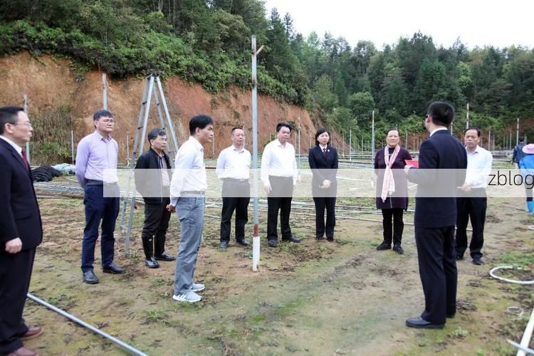 2022年3月22日武平县新增确诊情况