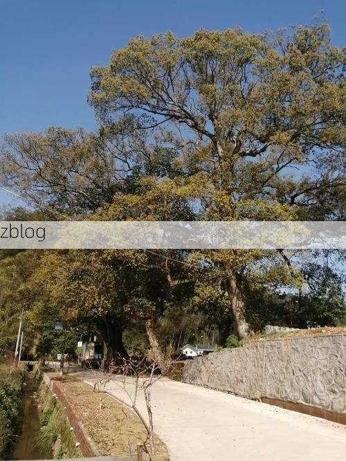 建阳：闽北交通枢纽下的疫情破防与围堵
